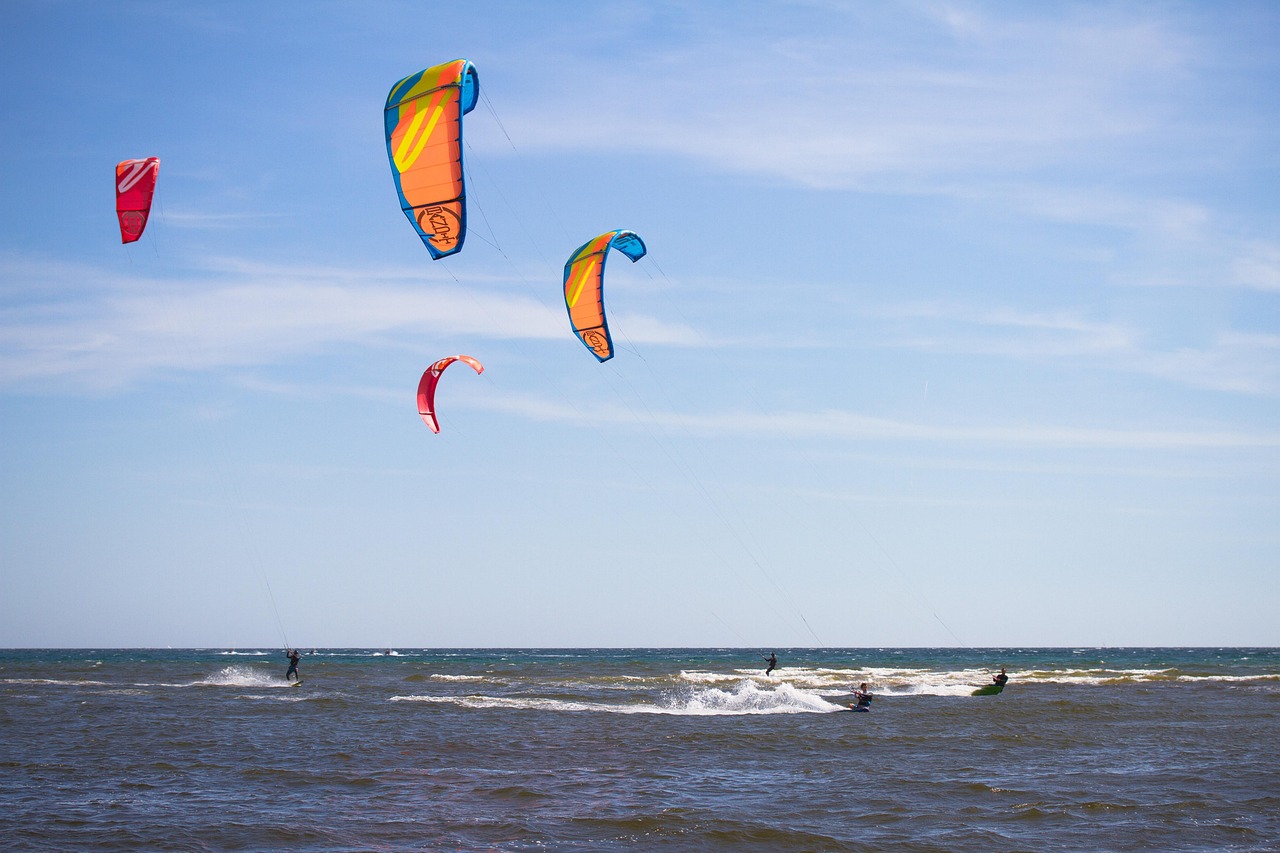 西关海持续监测与治理下的水域新面貌动态更新