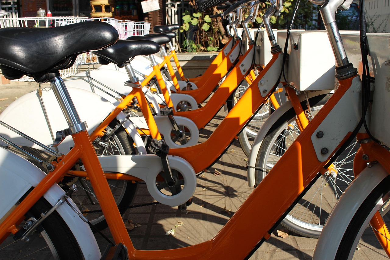 嵩县最新招聘动态与就业机会深度探讨