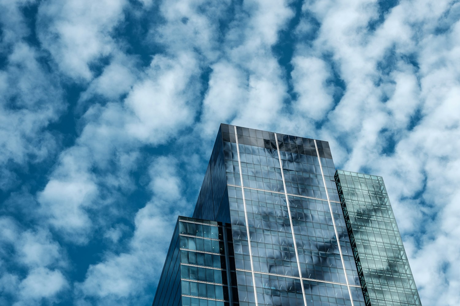 黄岛最新短期工作机会，展望前景与职业发展之路