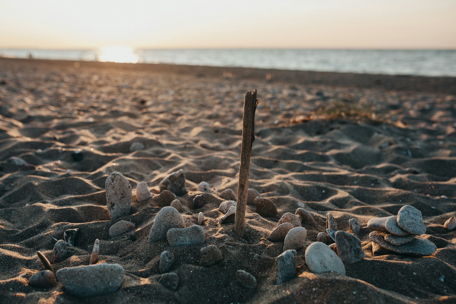 Jenny佳妮的最新动态,闪耀时刻