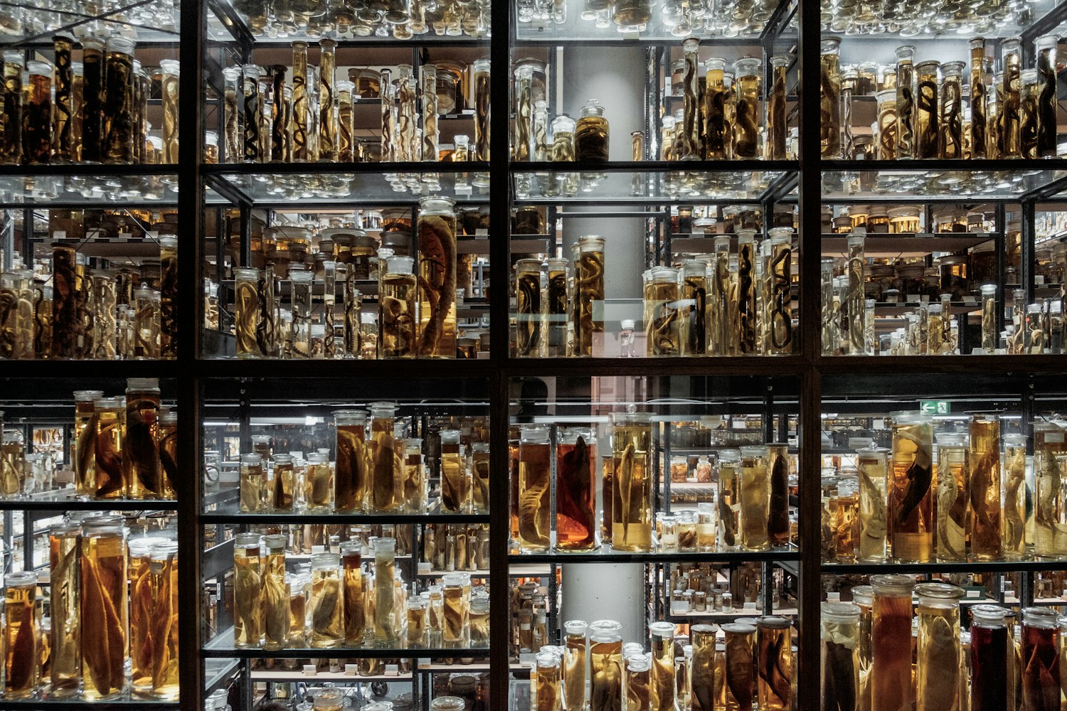 陕北女人说书,传统艺术的崭新风貌展现