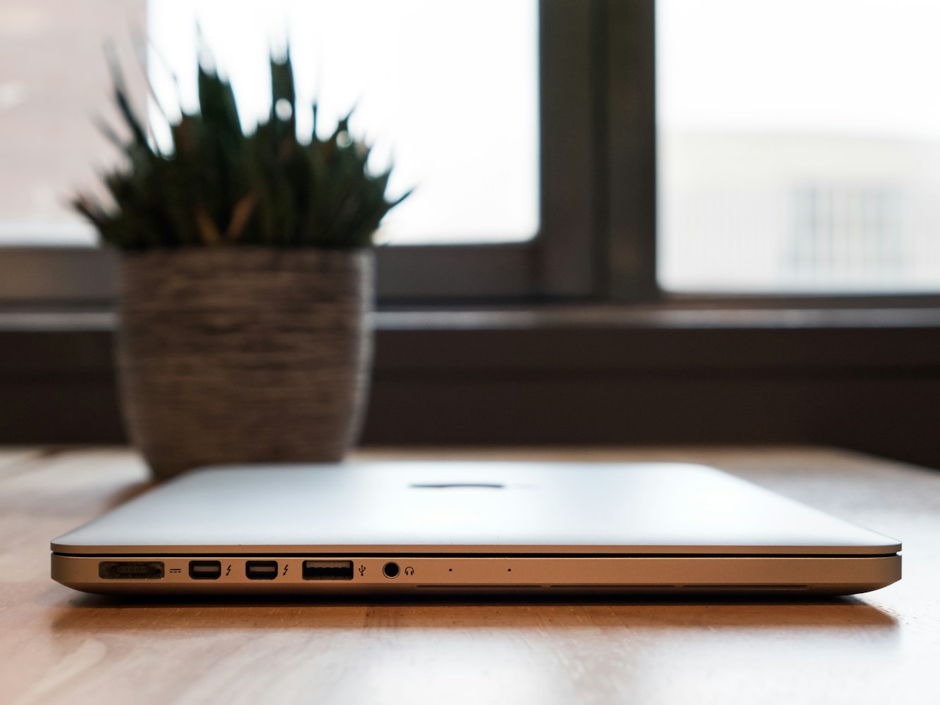 手机在线最新影片,探索魅力与影响