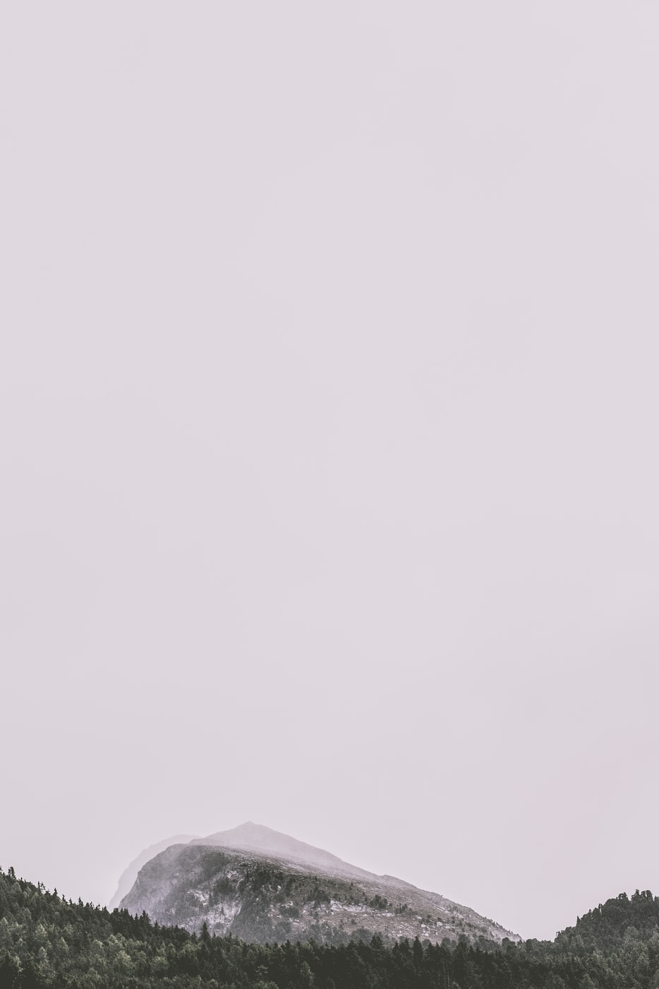 探索最新37TP的魅力与潜力，最新动态一览