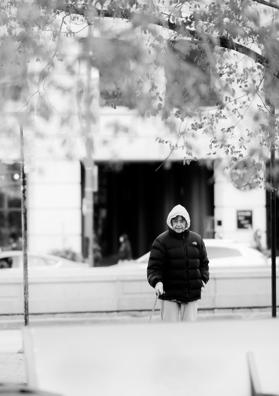 探索时尚情感交融,2017最新头像背影风采展示