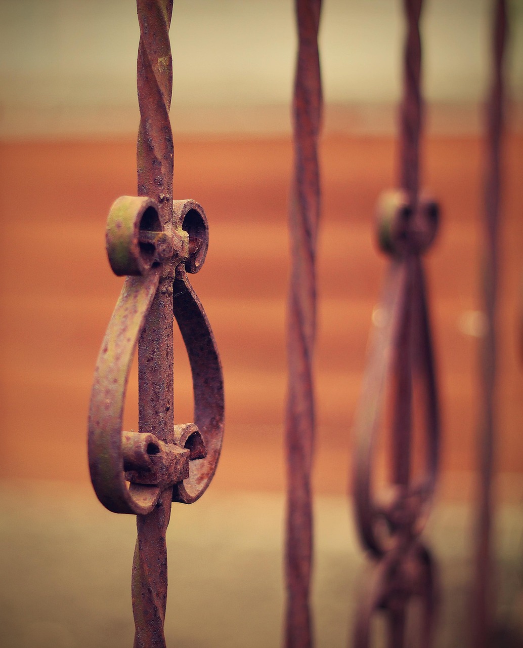 君约最新小说探秘，时代背景下的独特故事风采