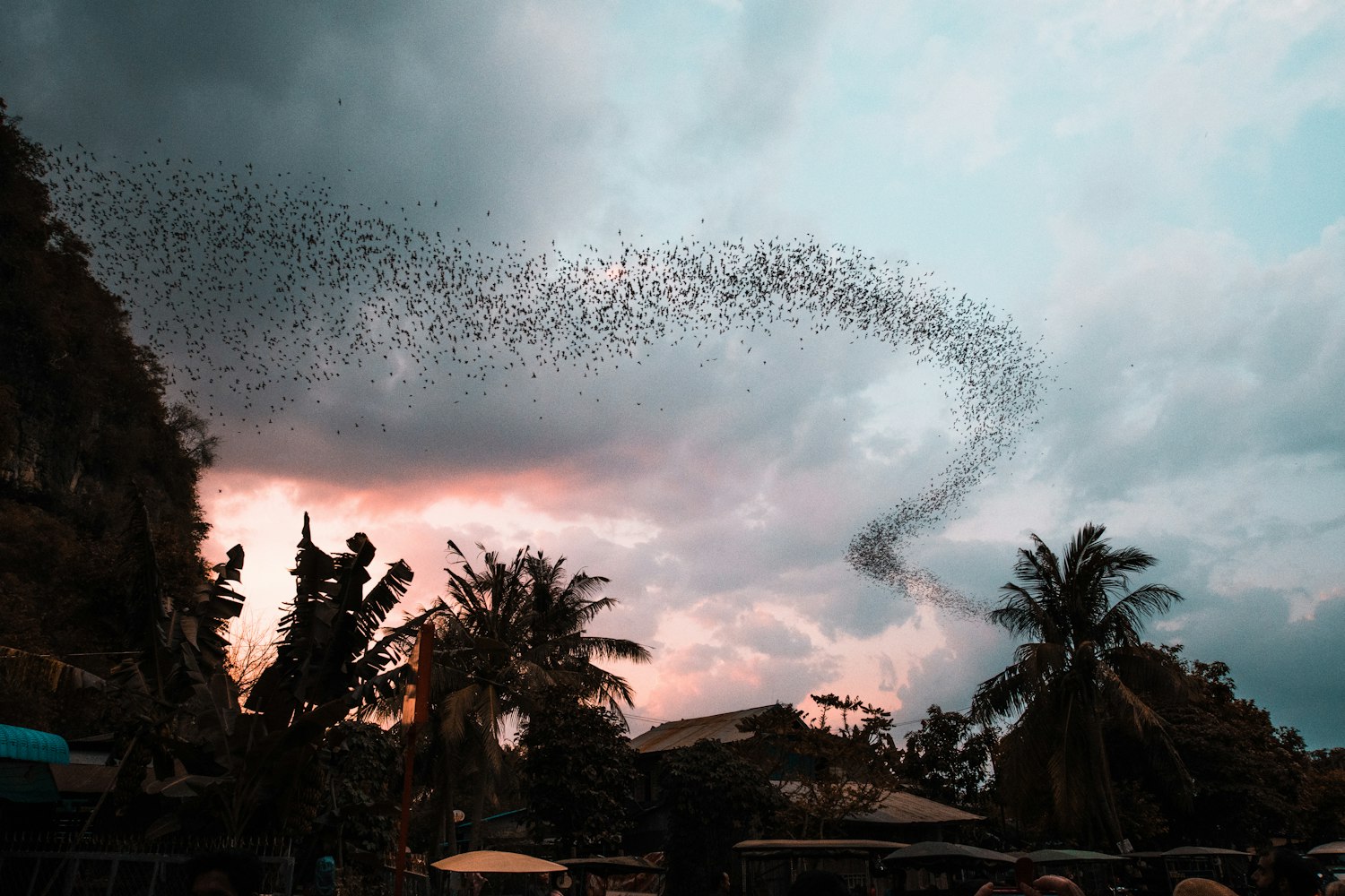 最新野外直播,探索自然,真实生活展现
