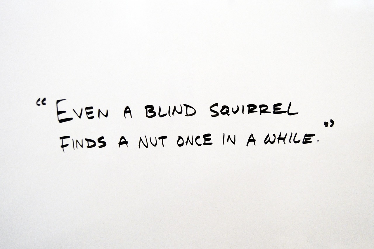 最新2017搞笑句子大赏，让你笑到肚子疼的不容错过的幽默短语