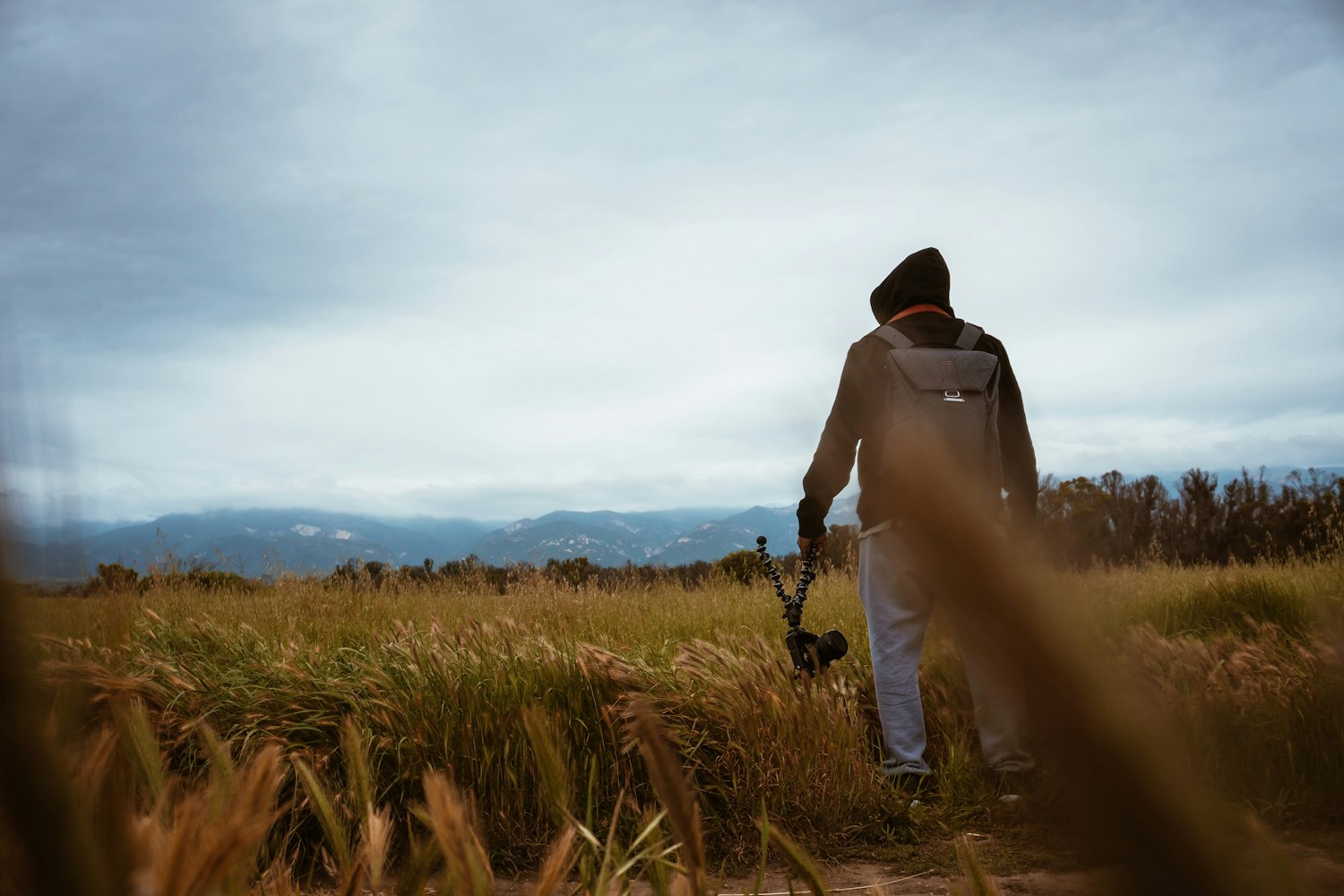 牟平失踪女孩最新进展,寻找线索与关注心声