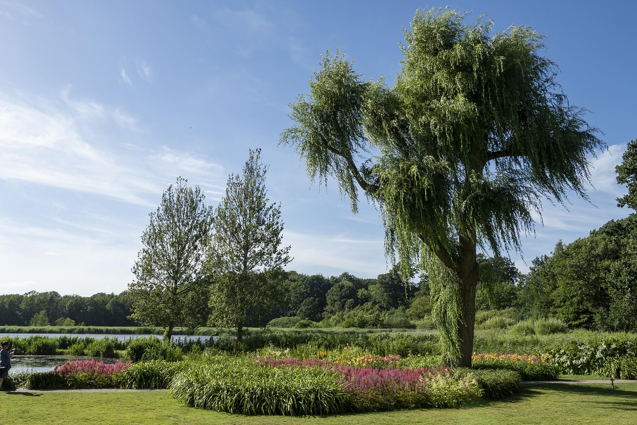 天津最新公园,绿洲般的绿意,城市中的休憩胜地