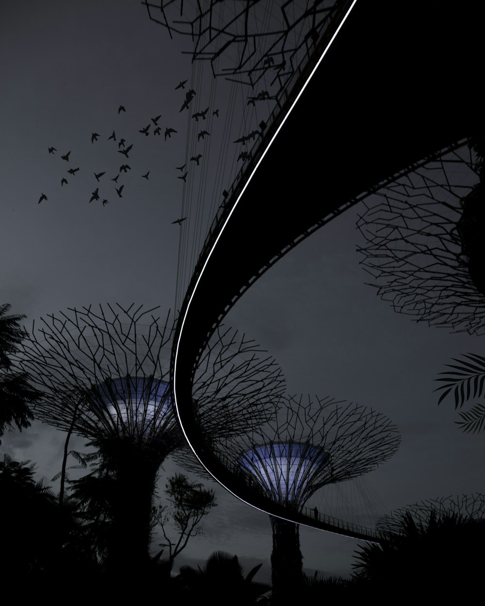 探索视觉艺术的无限魅力,最新图片2017经典欣赏