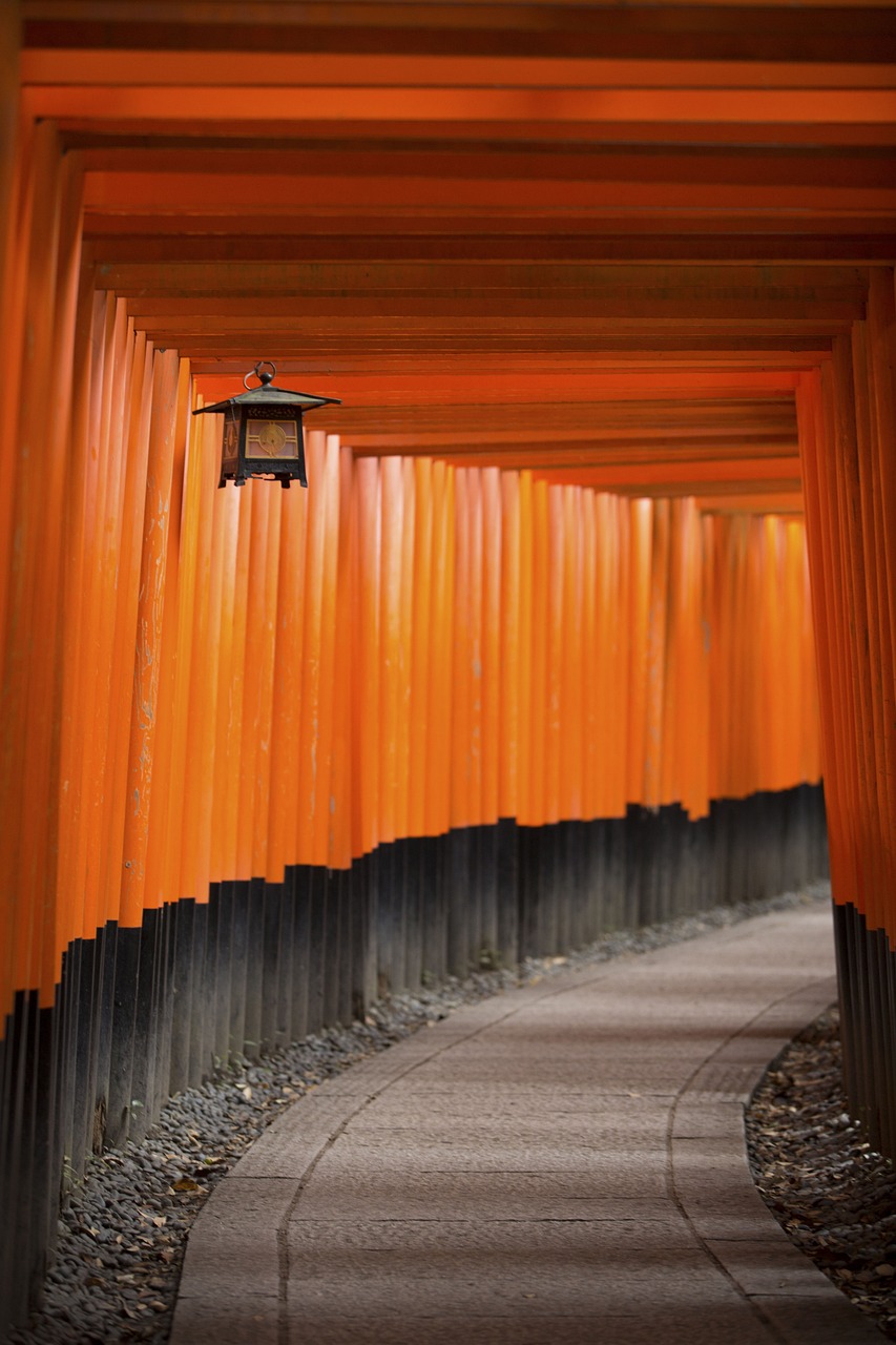 聚焦中国发展动态,最新时政热点概览 2017年发展动态分析