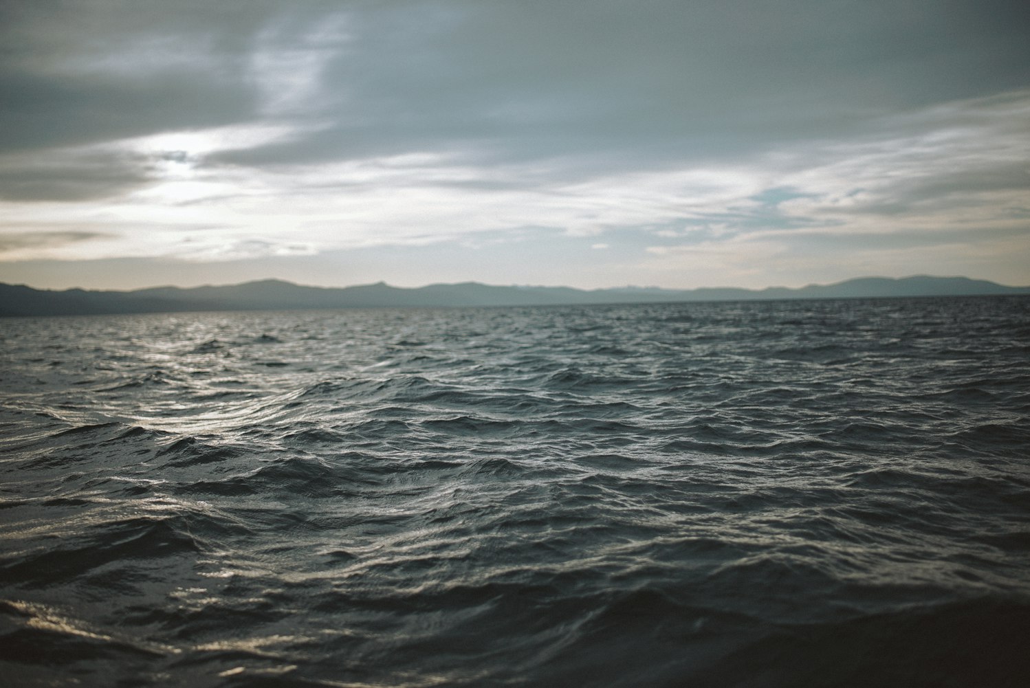 最新奇书网,探索知识的海洋,满足阅读新需求