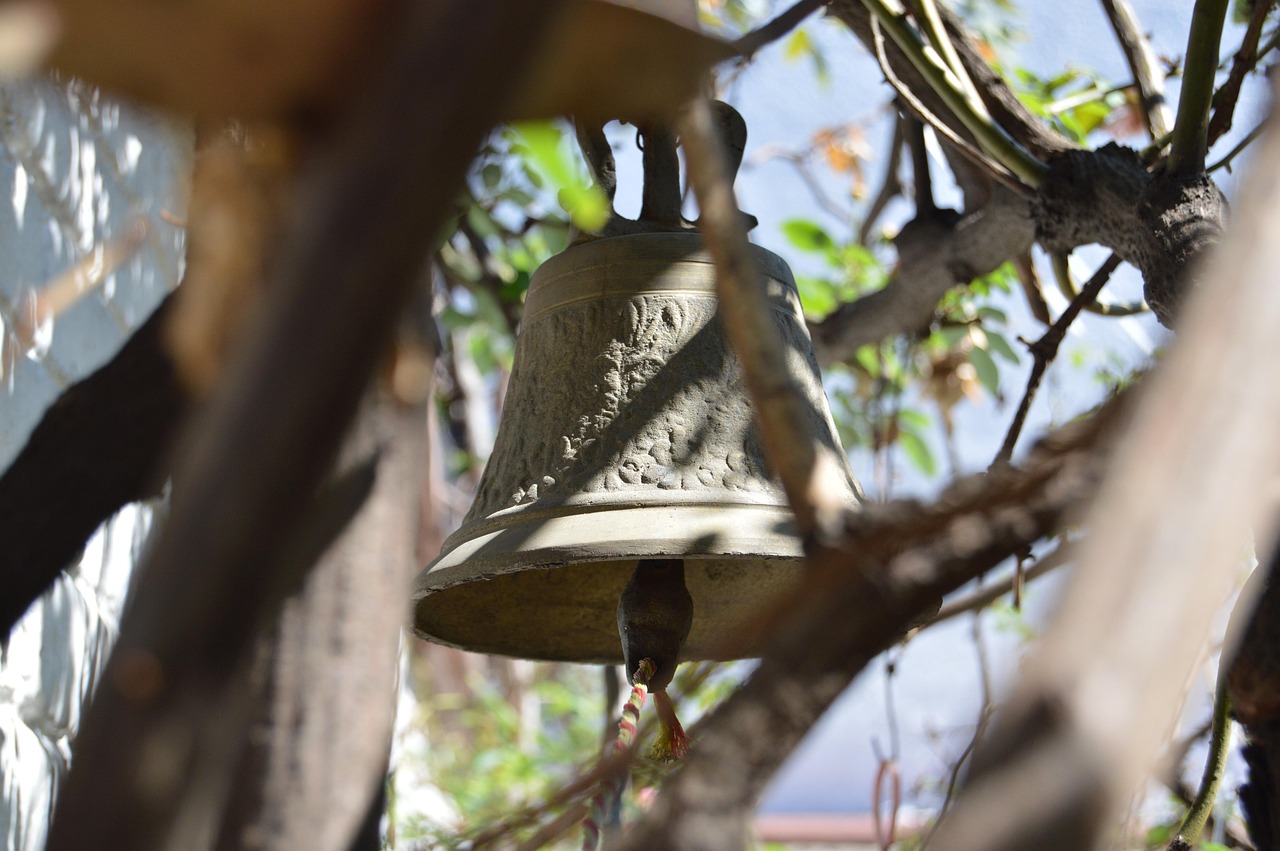 新绛蔬菜最新价格概览及市场动态分析