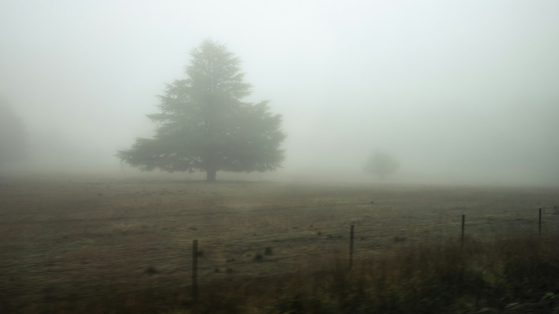 最新上映的鬼片揭晓,揭开恐怖面纱的惊悚之旅(2017年)