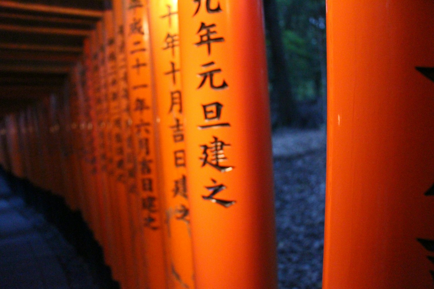 最新版字典,探索语言的新领域与深度之旅