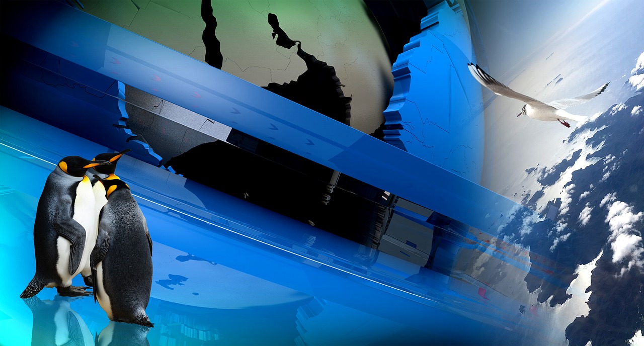 男同最新视频探索与赏析,探索男同视频的世界