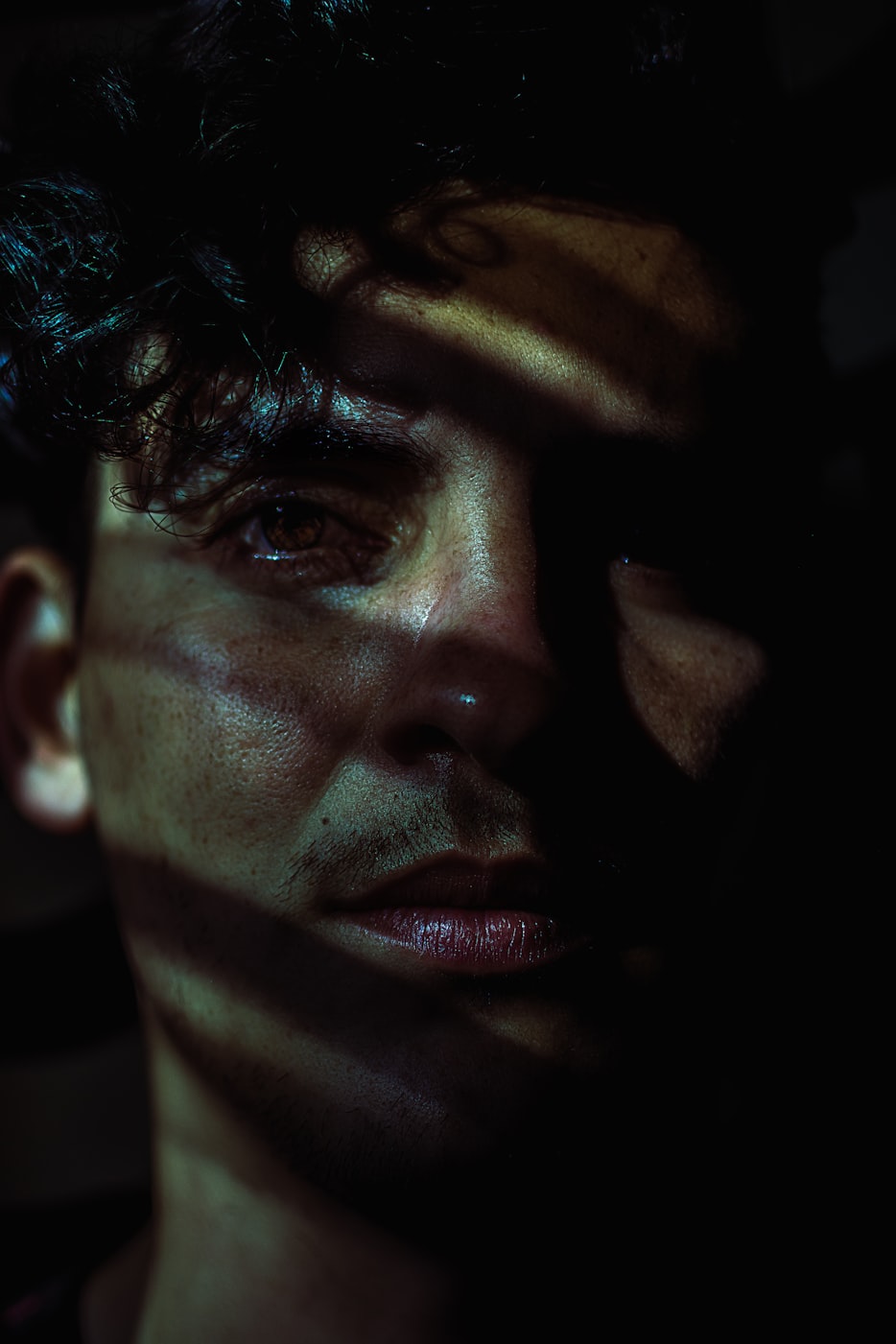 最新上映电影探秘，银幕背后的无限魅力