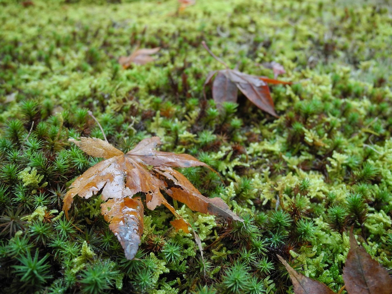 山东最新新闻动态，聚焦发展热点，洞悉时事讯息