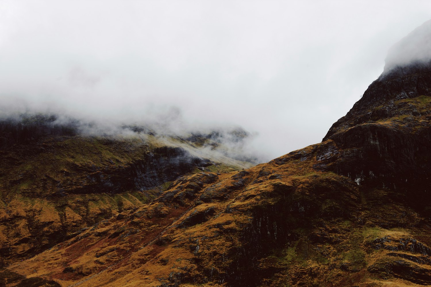 海丰最新招聘动态及其地区影响分析