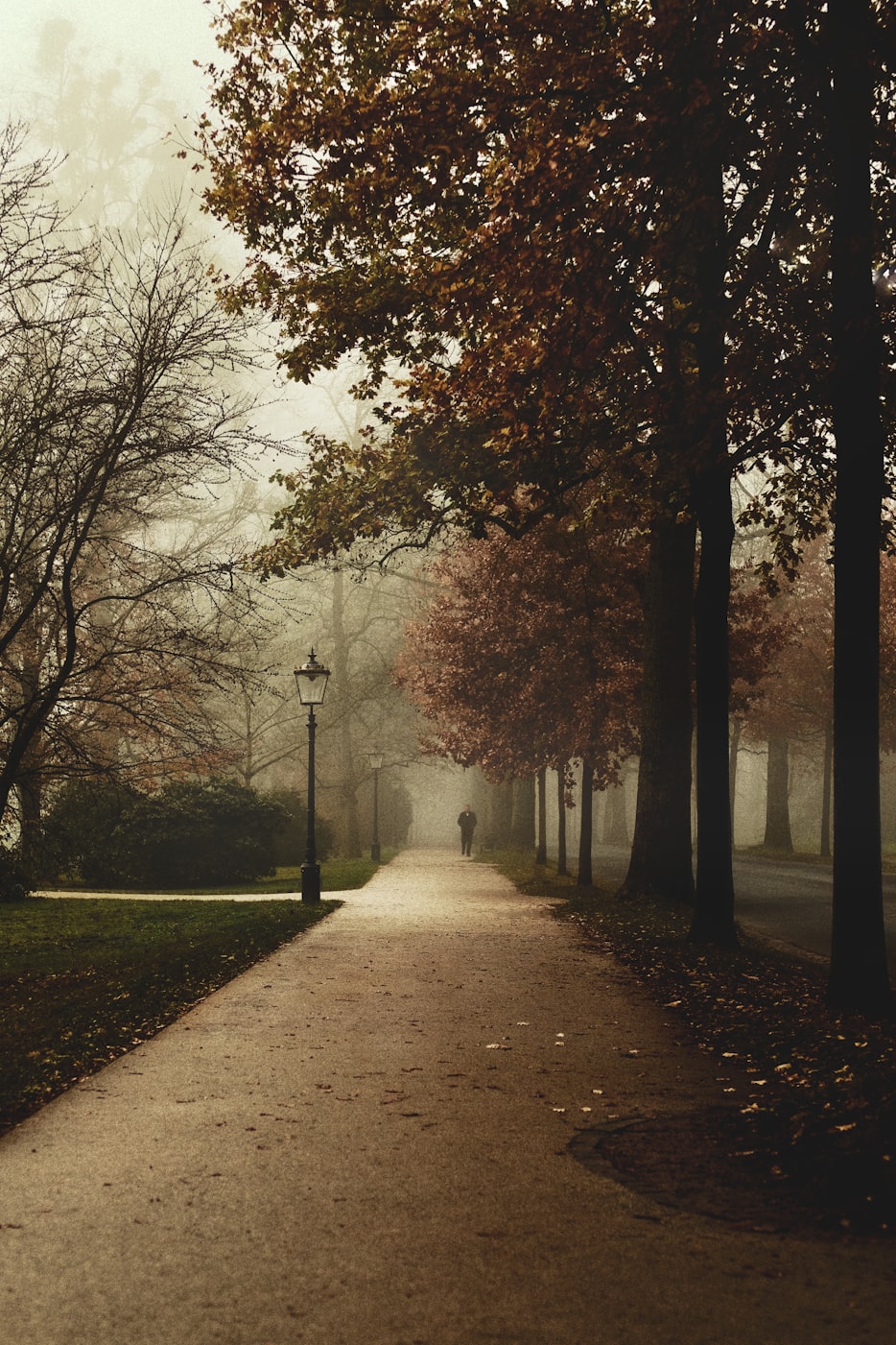 揭秘2017年台风路径与影响,最新台风路线与动态报告