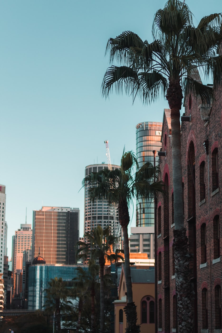 南山最新楼盘,城市新贵的生活首选之地