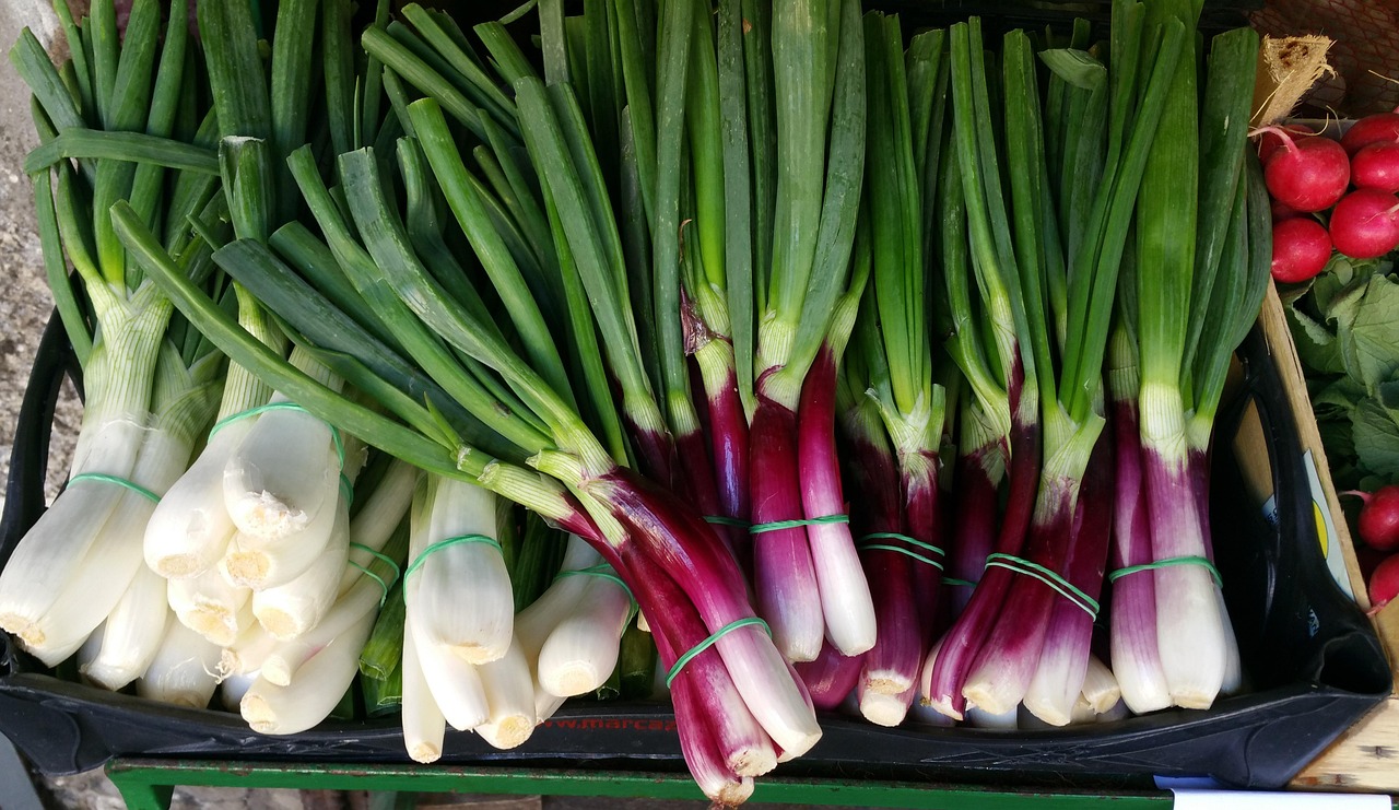 今天豆角最新价格及市场走势与种植前景分析