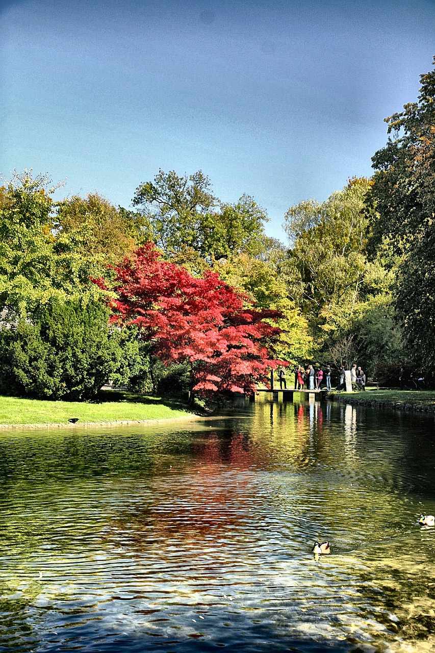 菏泽棚改最新动态,推动城市更新,提升民生福祉
