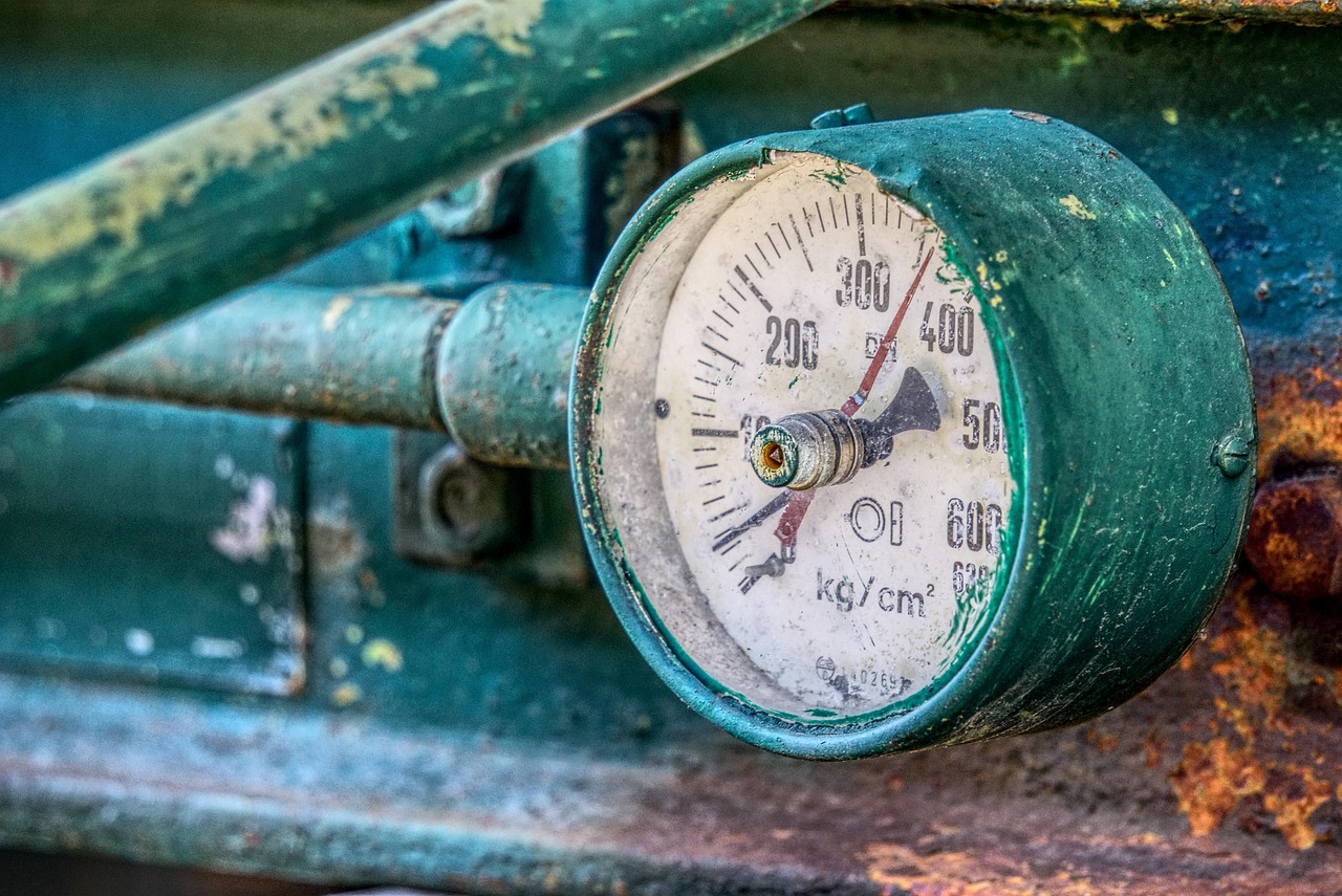 林甸最新新闻动态更新