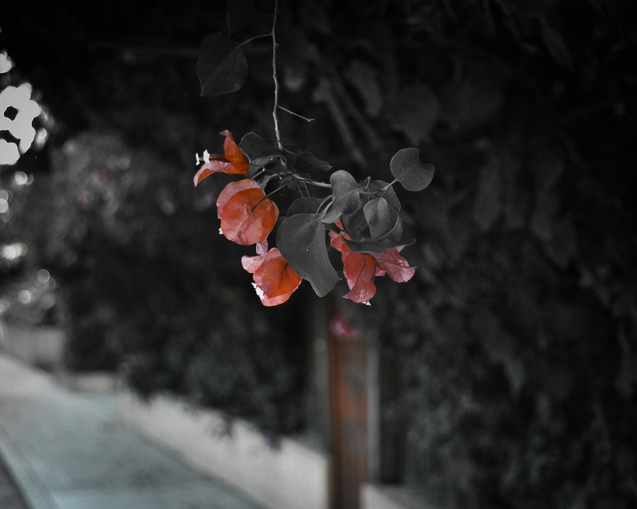 韩国最新床戏，情感与戏剧的交织之美探索