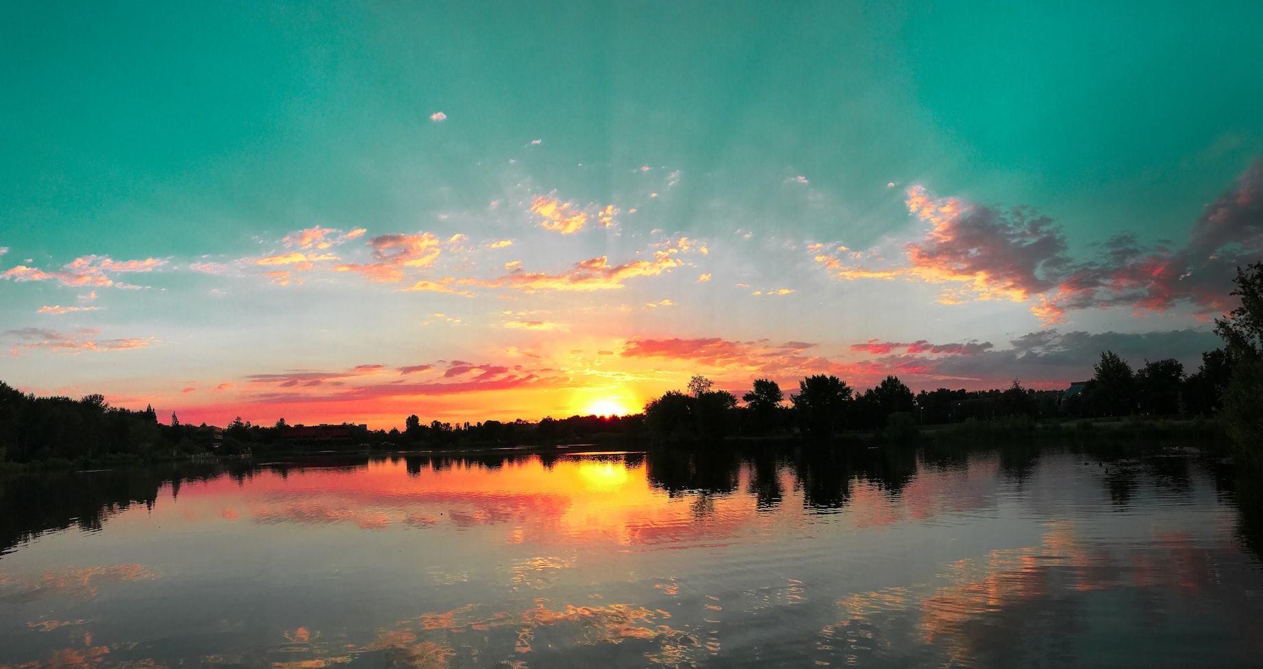 大毛最新钓鱼视频，探索垂钓艺术的无限魅力