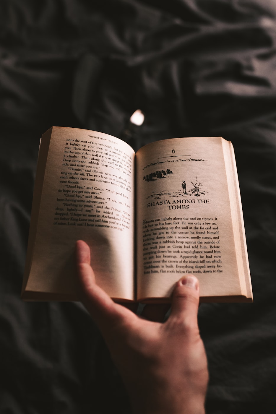 不甚了之最新小说深度探索与解读