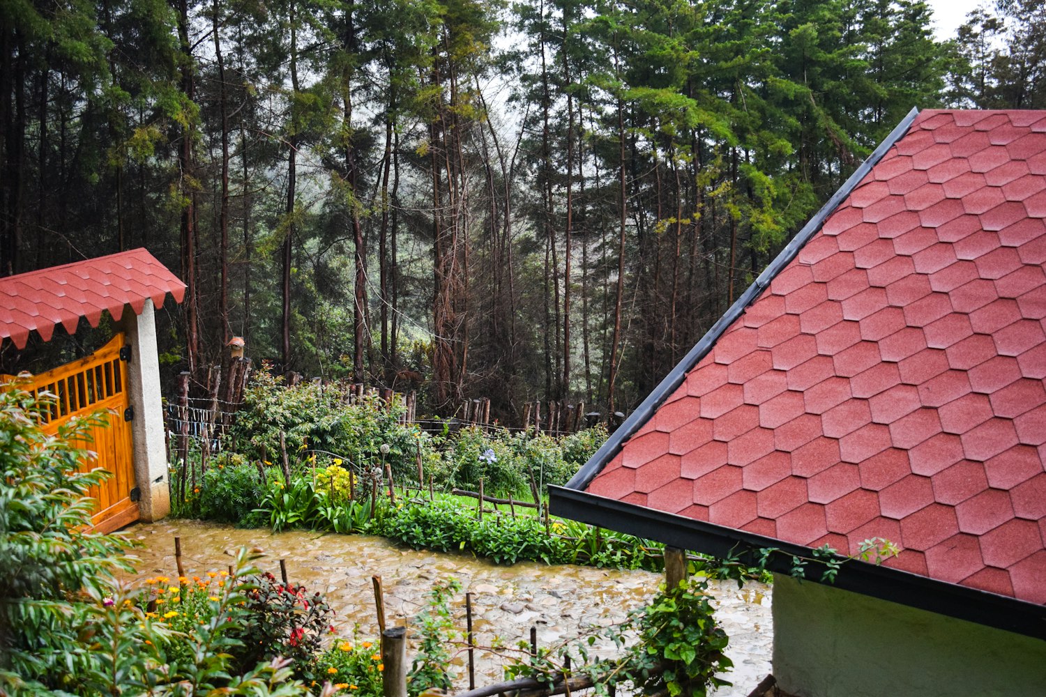 最新式猪圈图片大全，现代畜牧业的新里程碑展示