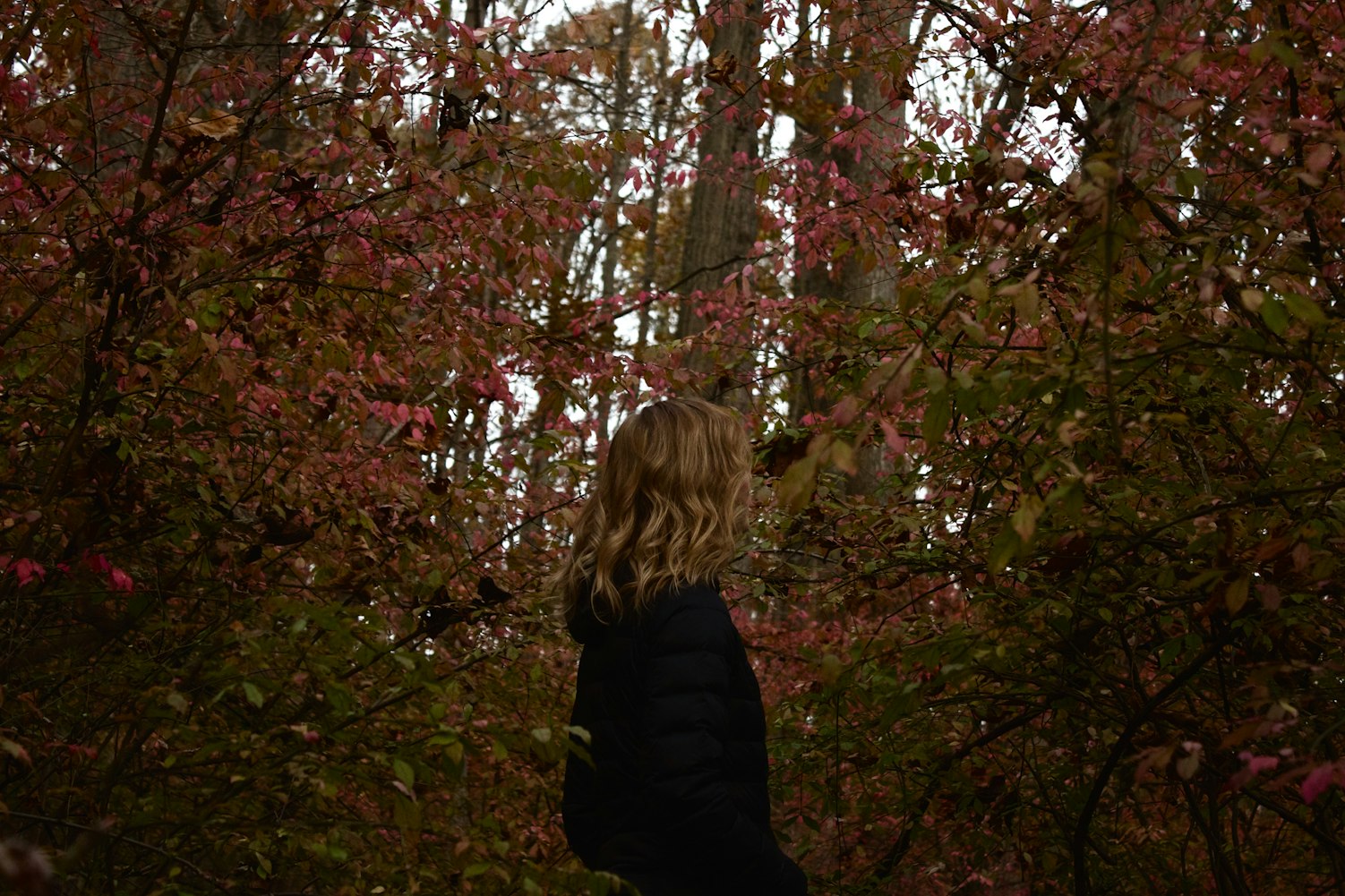 最新早晨问候语，唤醒美好一天的温馨祝福