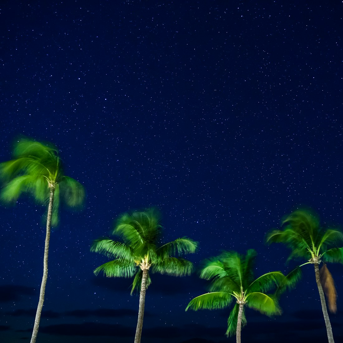 梦蝶小公举探索梦幻世界的最新视频魅力展现