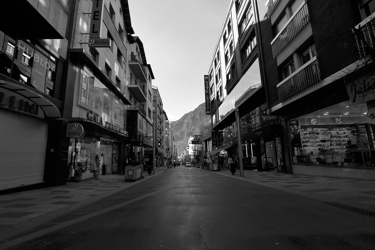 黄陂最新动态，城市蓬勃发展新篇章开启