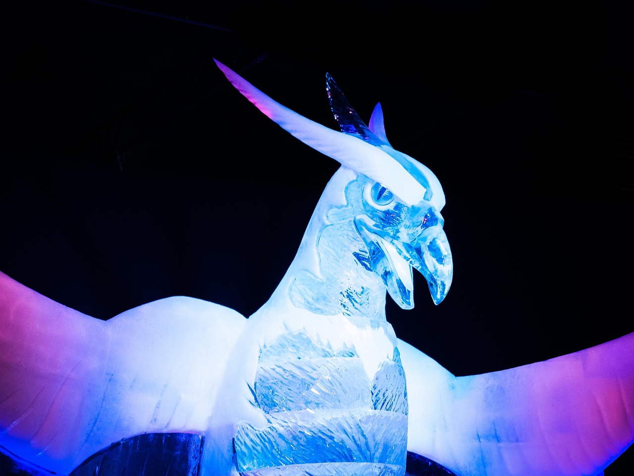 蒋云新最新动态，揭开新时代的序幕，展现新动向