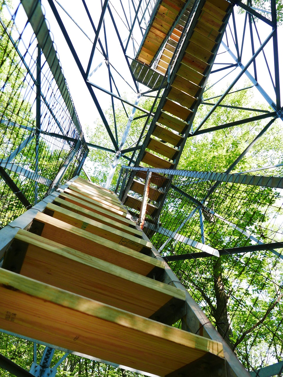 信托行业最新动态，趋势、政策影响及未来发展展望