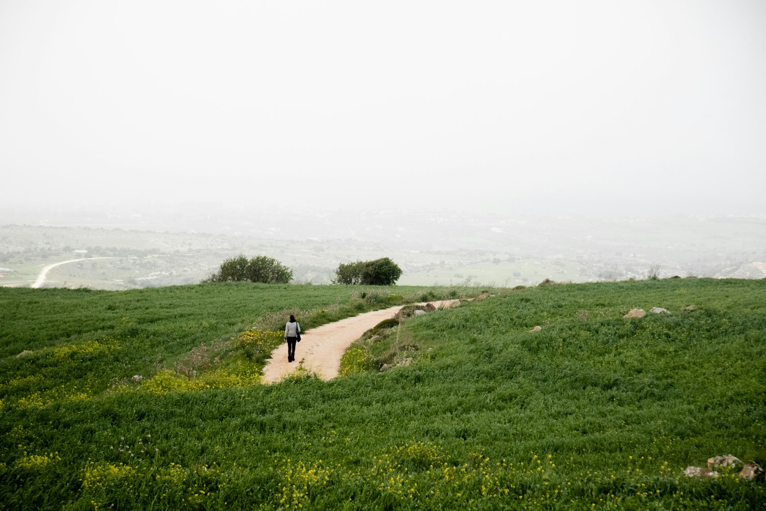 武隆羊角镇独特魅力展现，最新图片一览
