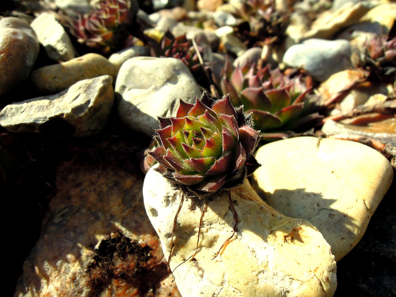 汇源果汁最新动态，创新拓展与市场趋势关注焦点新闻