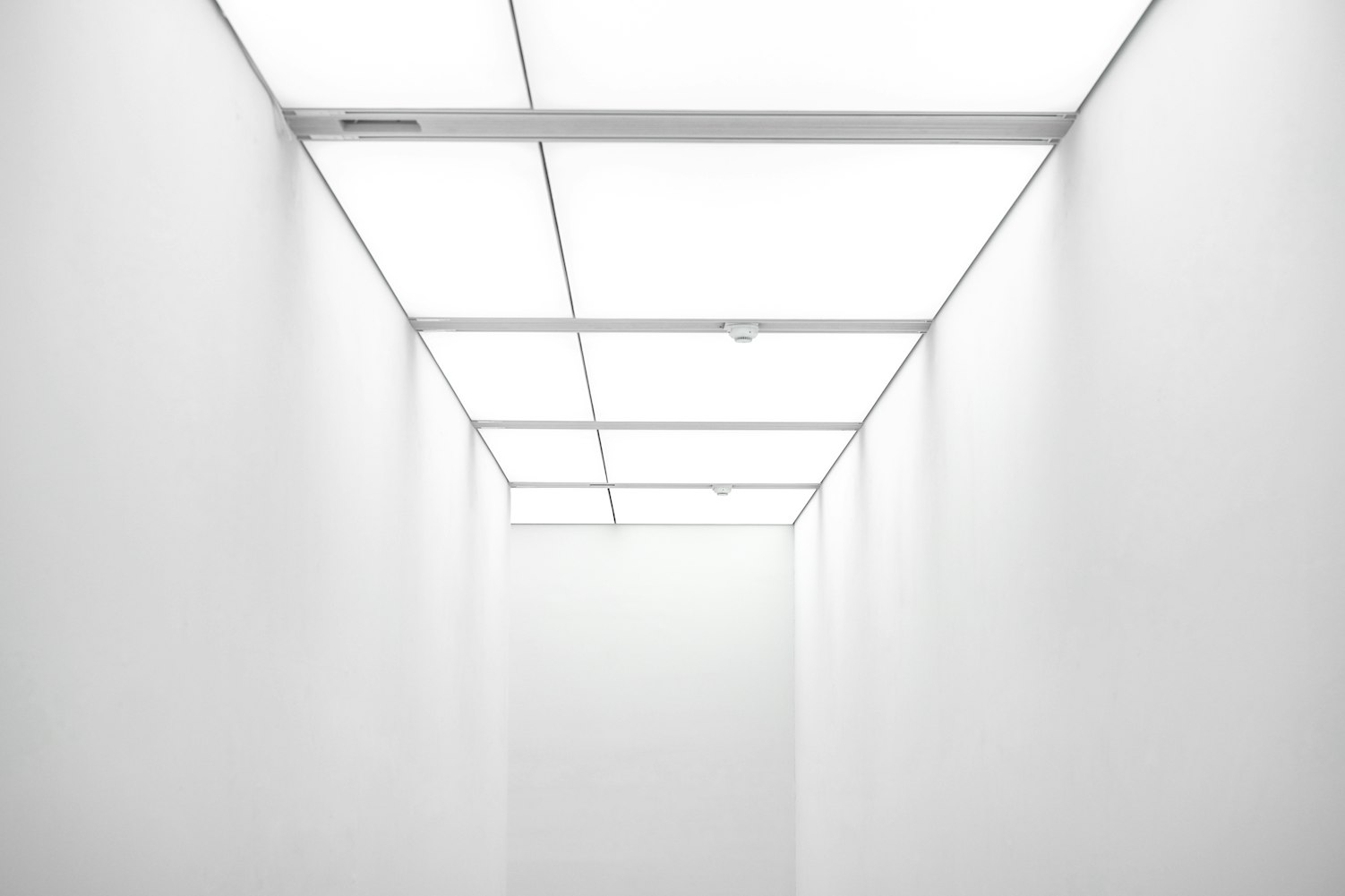 最新硅藻泥图案时尚与环保完美融合大全