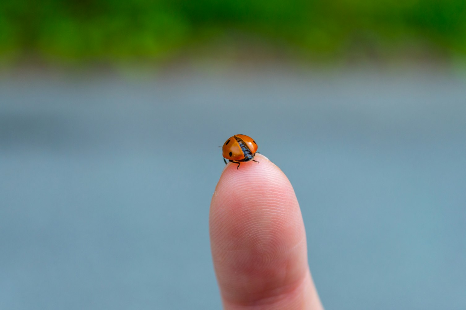 通化最新出兑信息一览,最新概览与动态更新