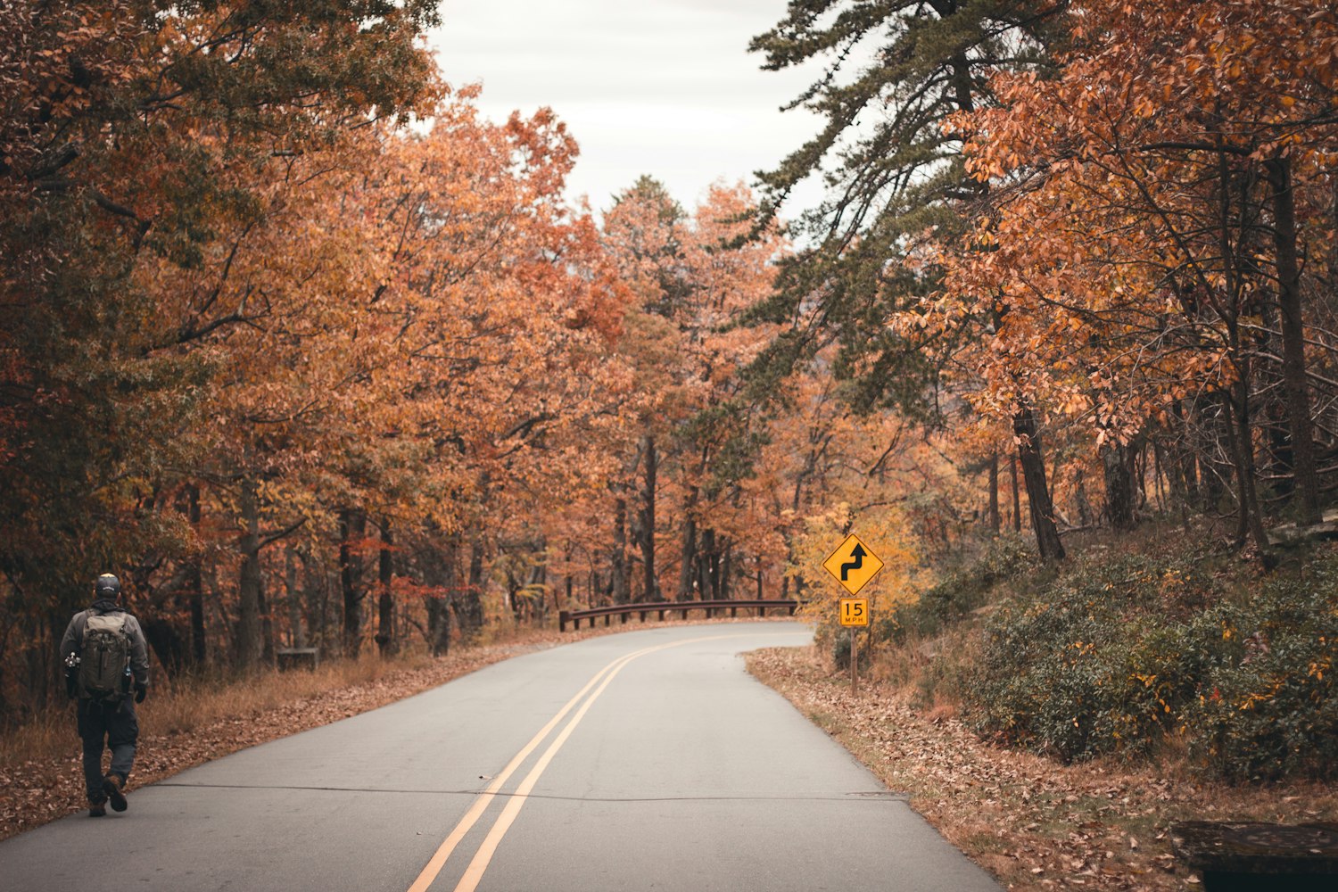 园林最新科技，重塑绿色生态的未来之路探索