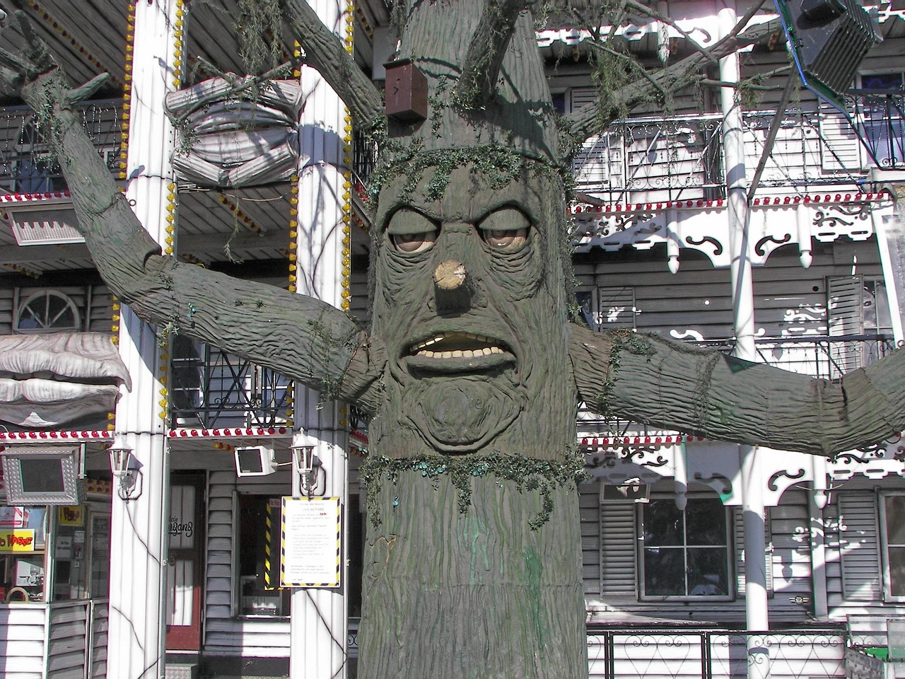 东方甸园未来生态城市揭秘，最新动态揭开神秘面纱