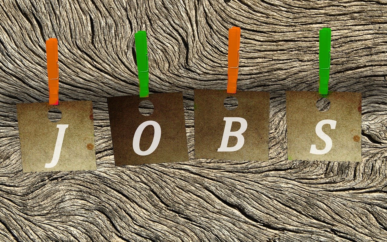 义县在线招聘最新动态与职业机会探讨