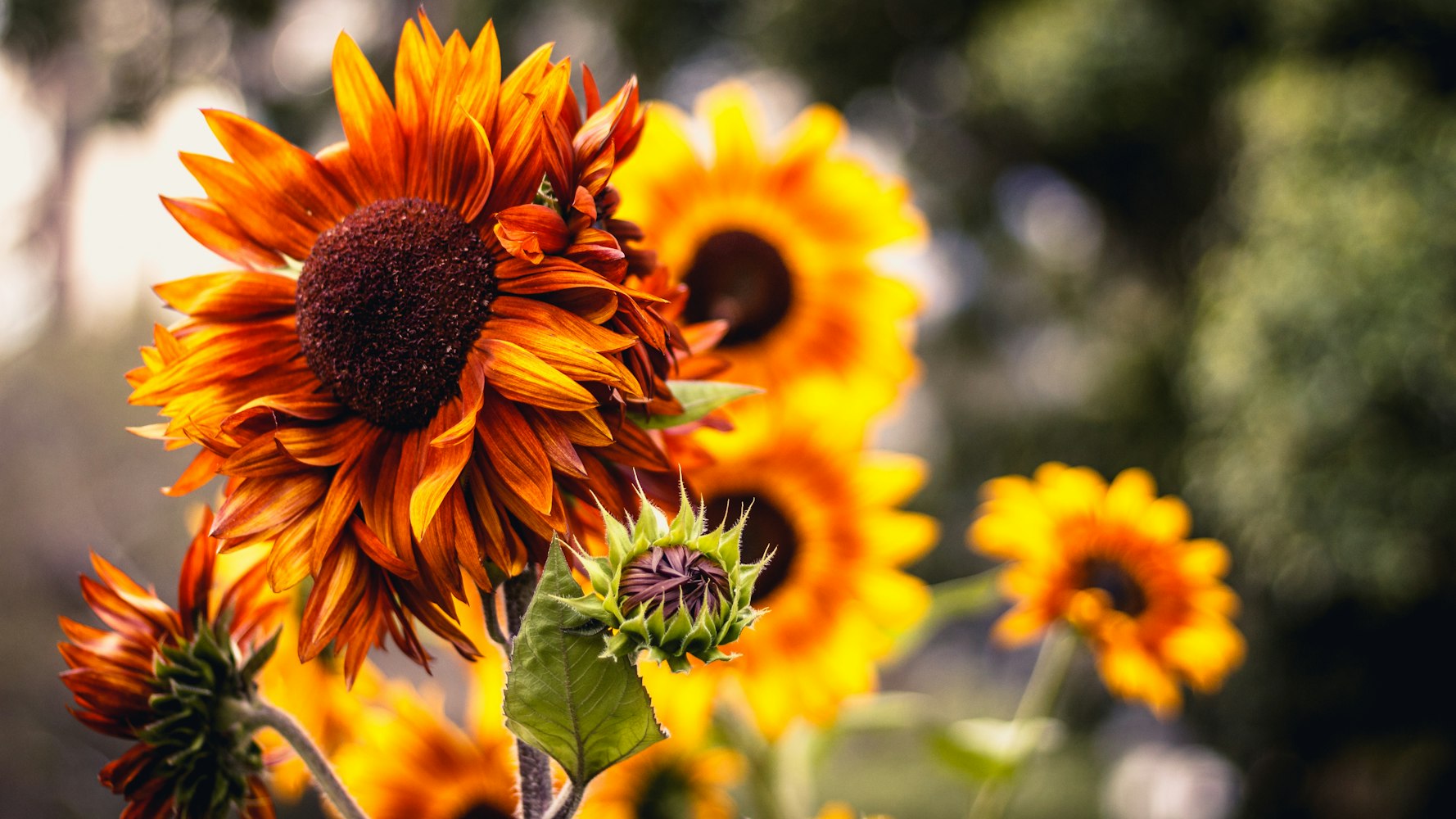 联邦贴吧最新动态速递，聚焦热点话题，引领网络讨论潮流