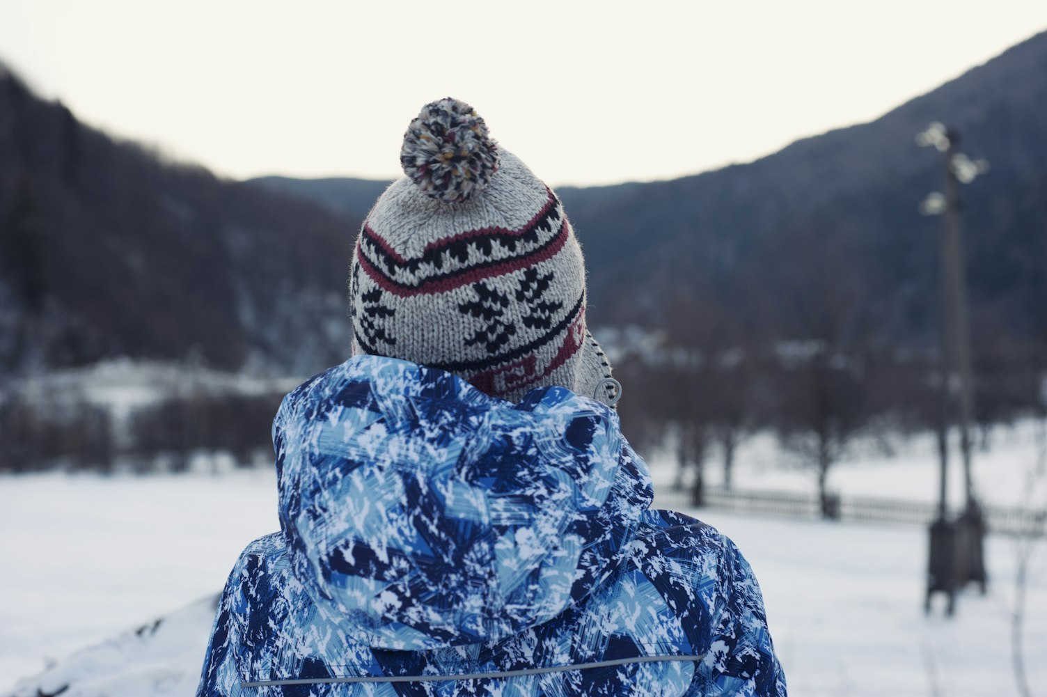 余岳桐最新博客,音乐之旅与人生感悟的交融之路