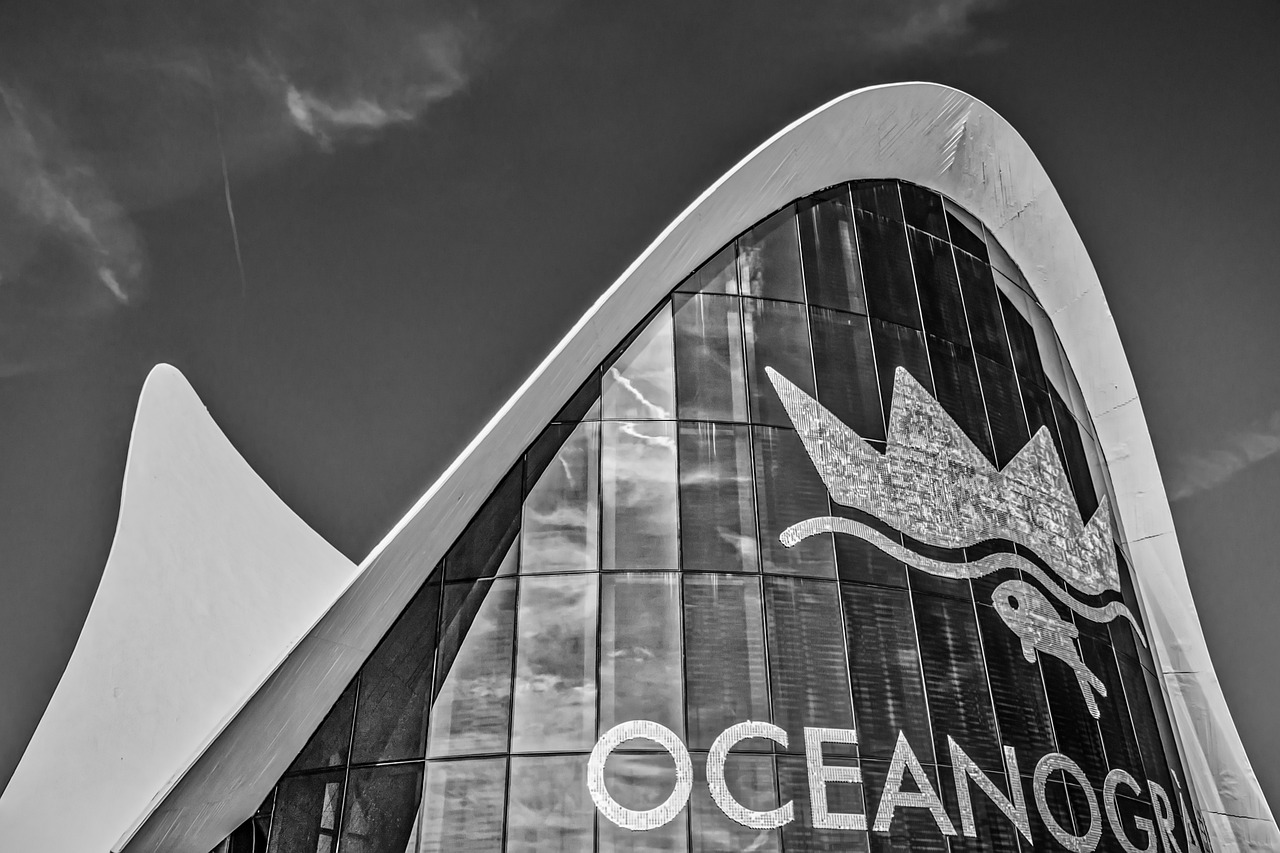 SketchBook最新版下载指南,探索SketchBook的全面指南