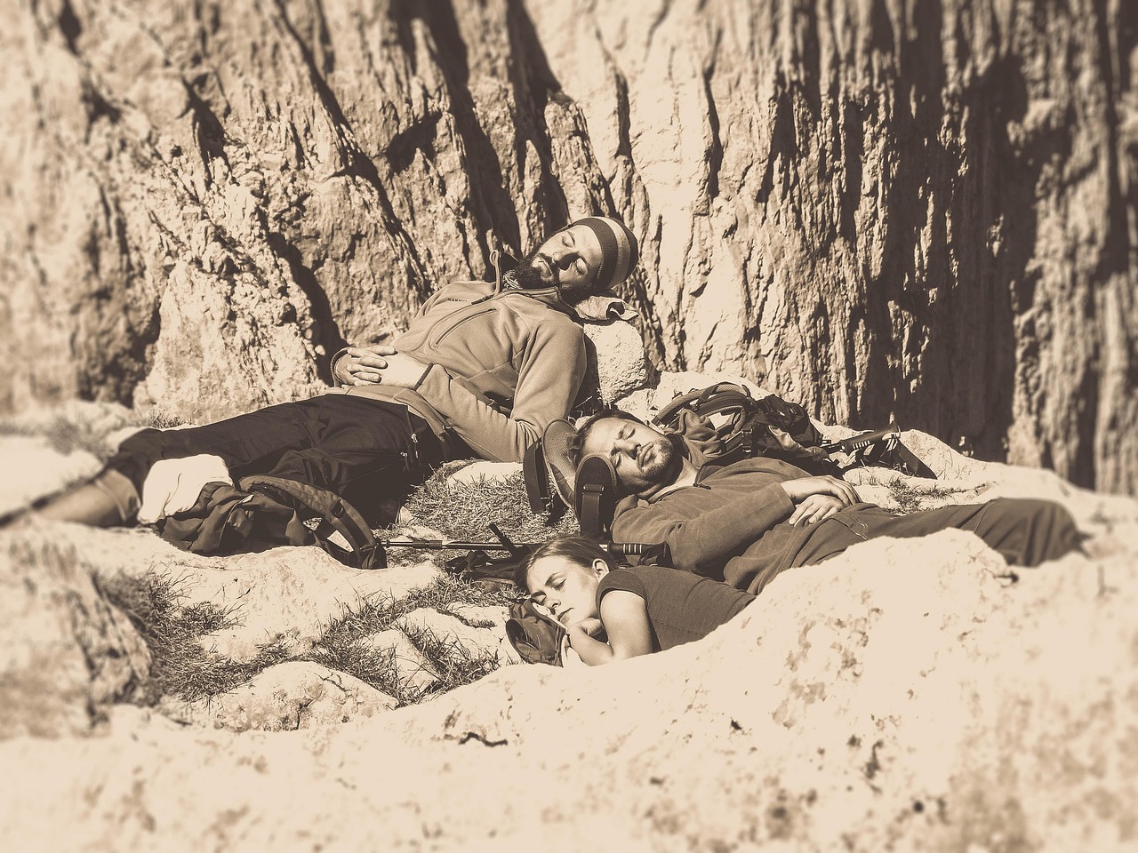 井研最新招聘信息概览,最新岗位与招聘动态一网打尽